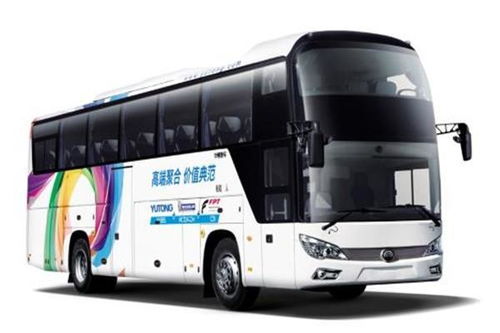 嘉善至平顶山长途汽车客运指南与票务代理服务详解